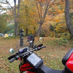 DSCF4954