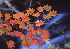 奥日光 竜頭の滝