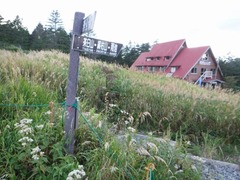 DSCF6035