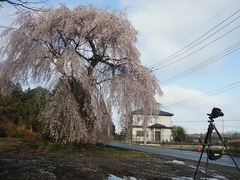 DSCF4793