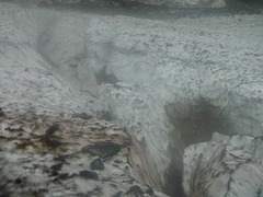 DSCF2630