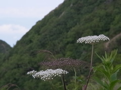 R0013124