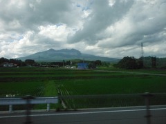 DSCF2342