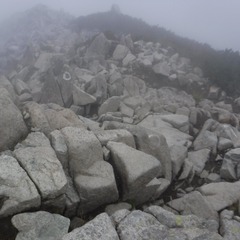 DSCF1557