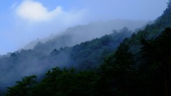 DSC15082