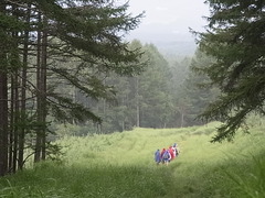R0013291