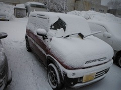DSCF6336