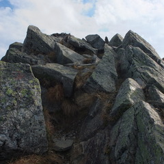 DSCF3547