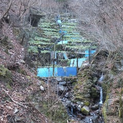 DSCF4358