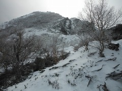 DSCF0090