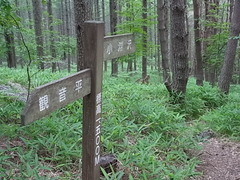 R0013286