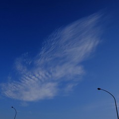 XE2B2570