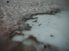 DSCF2622