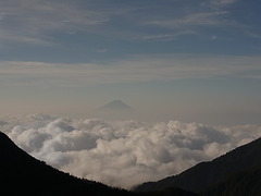 R0012815