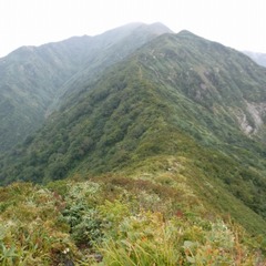 DSCF5570