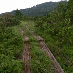 R9325865