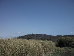 DSCF0243