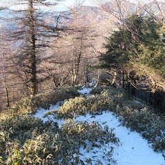 DSCF4290