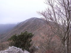 R0107638