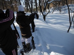 DSCF5979