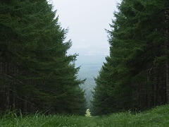 R0013288
