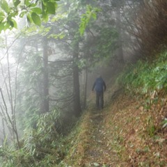 DSCF5613