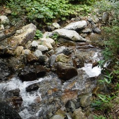 DSCF5699