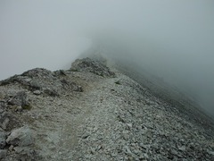 DSCF2561