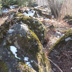 DSCF4715