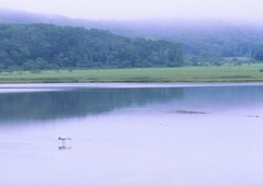 浜中町幌戸沼