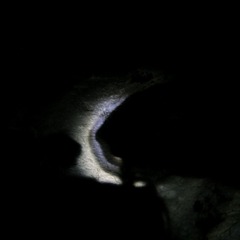 DSCF4272