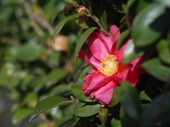 R0010097