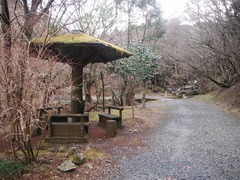 DSCF4628