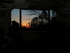DSCF4381