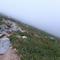 DSCF3415