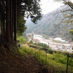 DSCF5042