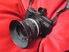 R0108217