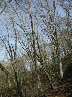 DSCF0246