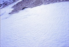 雪紋