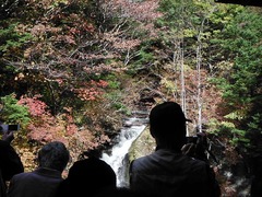 DSCF3866