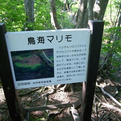 R9324685