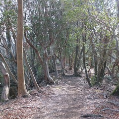 DSCF4403