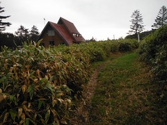 DSCF2220