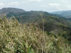 DSCF0234