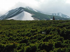 DSCF2483