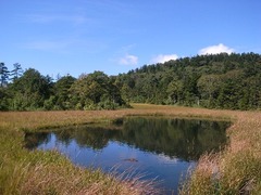 R0106421