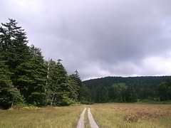 R0106479