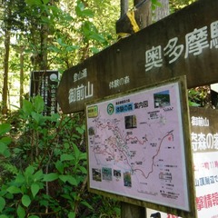 DSCF5481