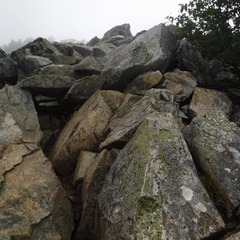DSCF1218