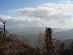 R0011294
